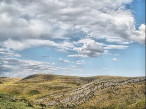 Псориаз лечение, лечение псориаза, лечение витилиго, витилиго лечение