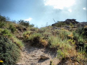 Псориаз лечение, лечение псориаза, лечение витилиго, витилиго лечение