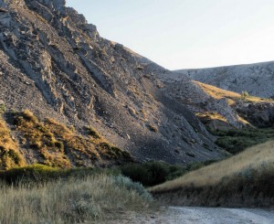 Псориаз лечение, лечение псориаза, лечение витилиго, витилиго лечение