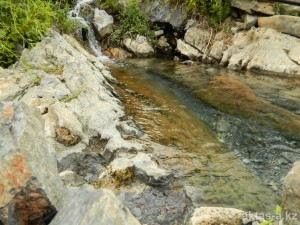 Псориаз лечение, лечение псориаза, лечение витилиго, витилиго лечение