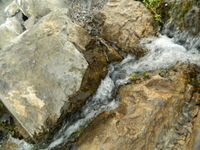 Лечение Псориаза и Витилиго в Казахстане